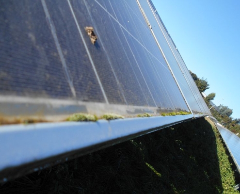 DSCN1788